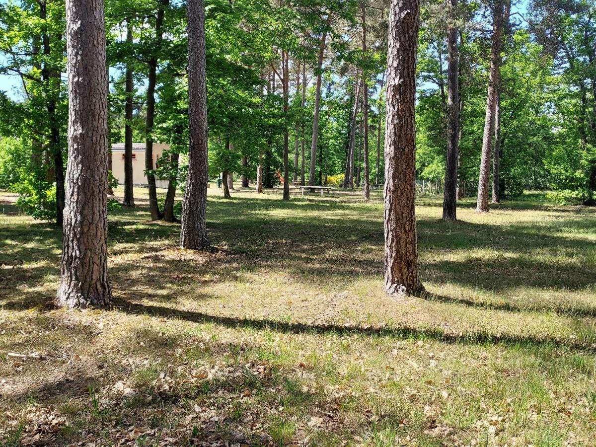 Camping Onlycamp Les Pins Nancay Bagian luar foto