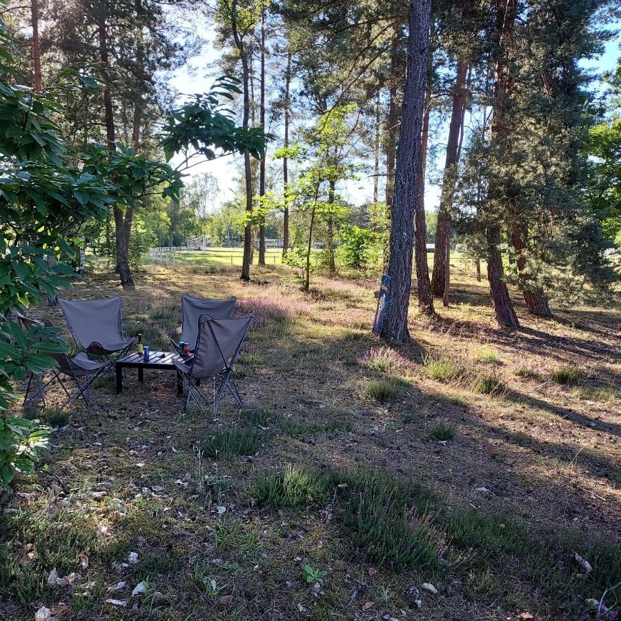 Camping Onlycamp Les Pins Nancay Bagian luar foto